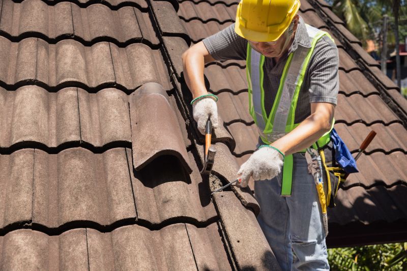 Roof Repair Technicians